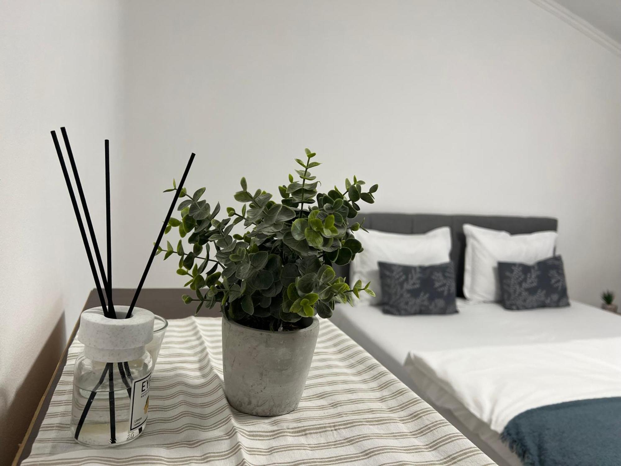 Апартаменты Ndl City Center Клуж-Напока Экстерьер фото